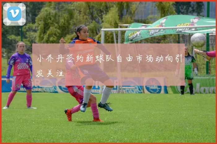 小乔丹签约新球队自由市场动向引发关注