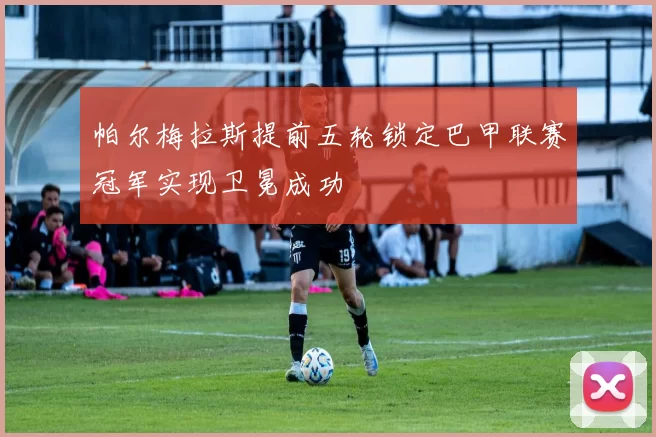 帕尔梅拉斯提前五轮锁定巴甲联赛冠军实现卫冕成功