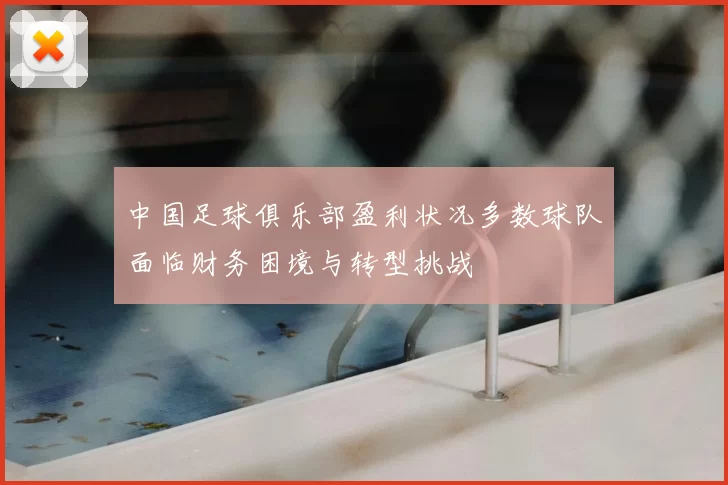 中国足球俱乐部盈利状况多数球队面临财务困境与转型挑战